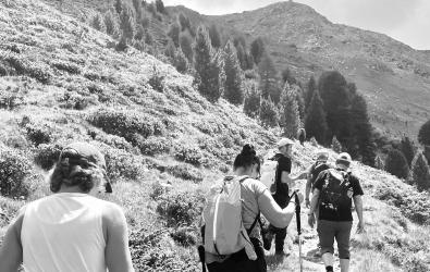 weiterer Text 3 image